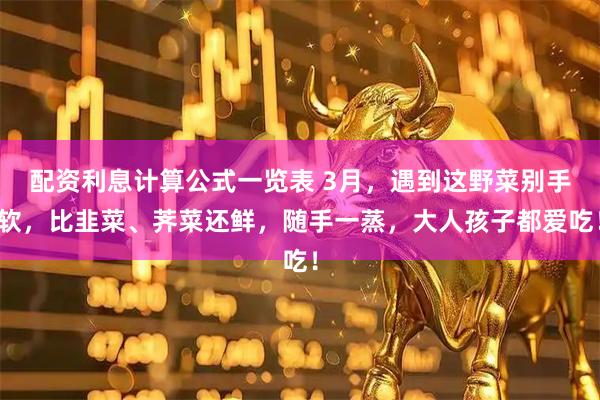 配资利息计算公式一览表 3月,遇到这野菜别手软,比韭菜、荠菜还鲜,随手一蒸,大人孩子都爱吃!